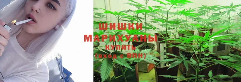 ссылка на мегу как зайти  купить   Лобня  Бошки Шишки SATIVA & INDICA 